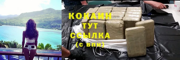шишки Белоозёрский