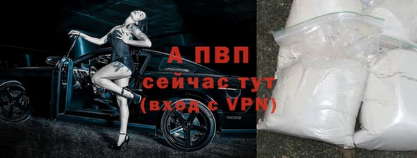 трава Беломорск