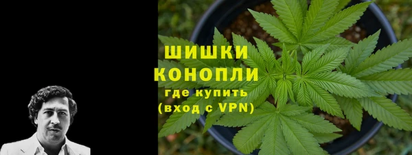 PSILOCYBIN Белокуриха