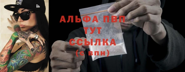 PSILOCYBIN Белокуриха