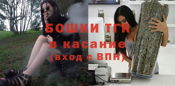 шишки Белоозёрский