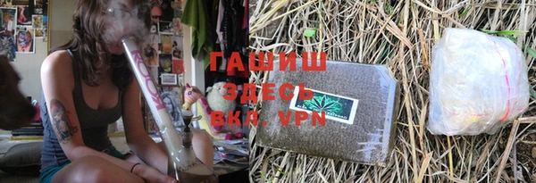 шишки Белоозёрский