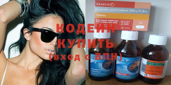 шишки Белоозёрский