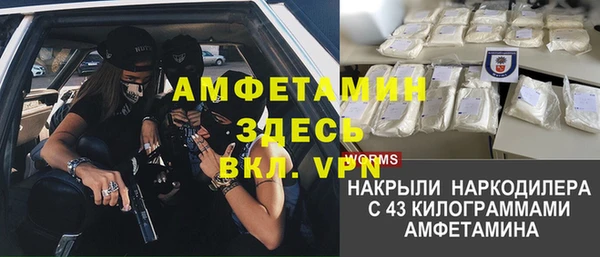 трава Беломорск