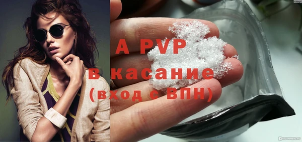 PSILOCYBIN Белокуриха