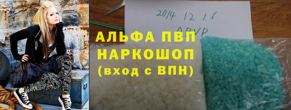 PSILOCYBIN Белокуриха