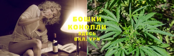 шишки Белоозёрский