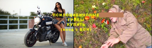 трава Беломорск