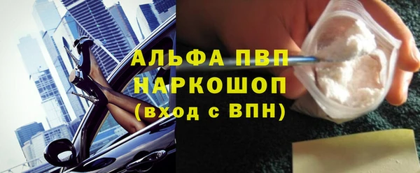 шишки Белоозёрский