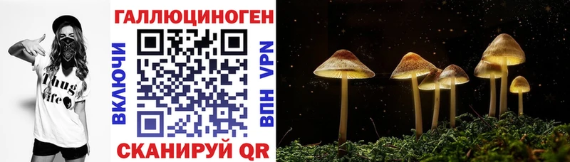 Псилоцибиновые грибы MAGIC MUSHROOMS  как найти закладки  Берёзовка 